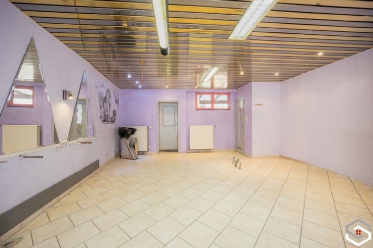 COMMERCE+ 3 STUDIOS +2 APPARTEMENTS - TERRASSE - NEW CHASSIS