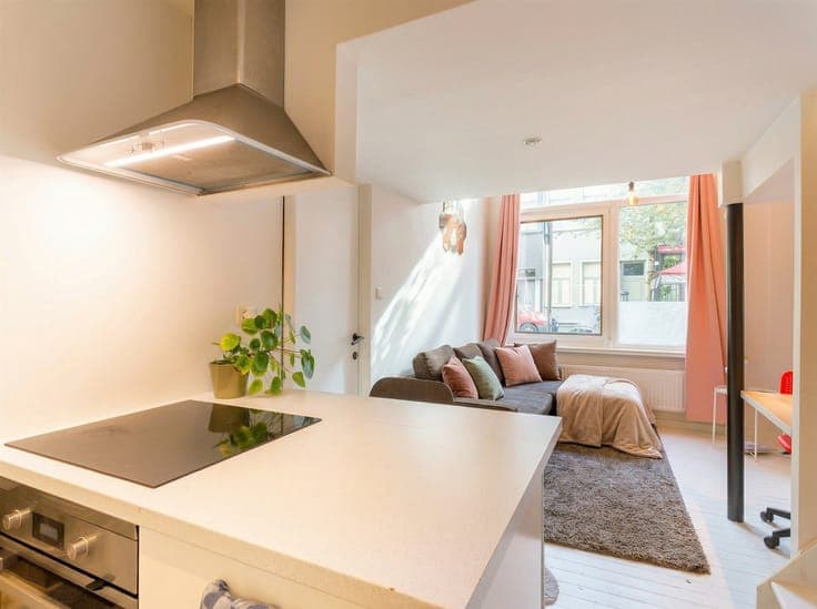 Revenue property at Marnix Place with 4 units