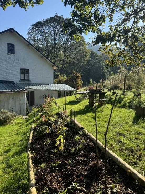 Christmas in your cosy home in the Ardennes?