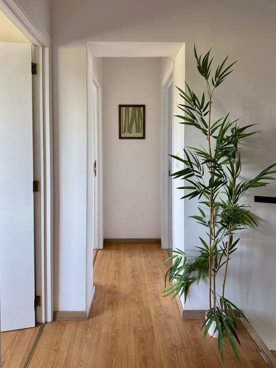 House in Asse