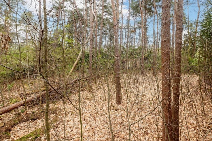 Recreation plot