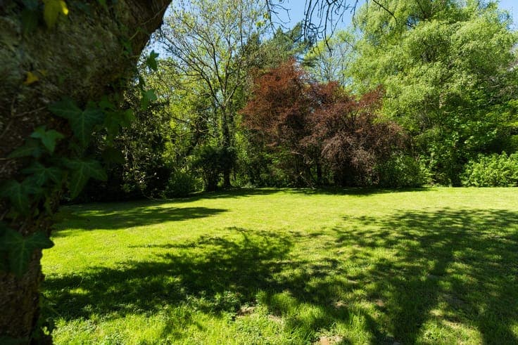 Love at first sight: charm, workshop, big garden