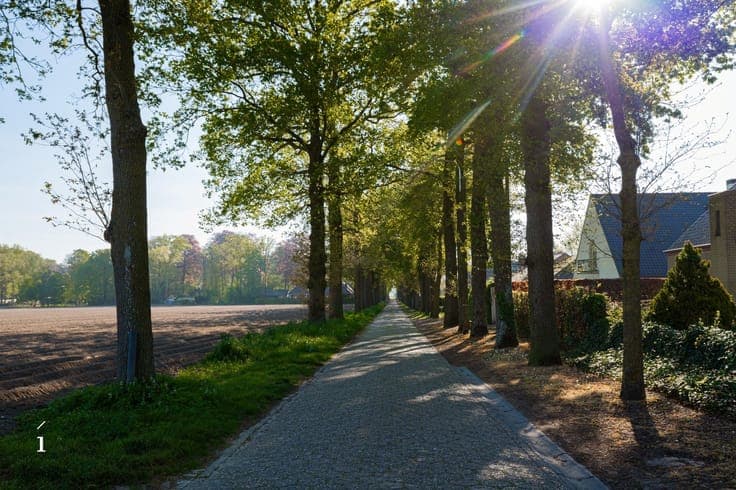 House in Lievegem