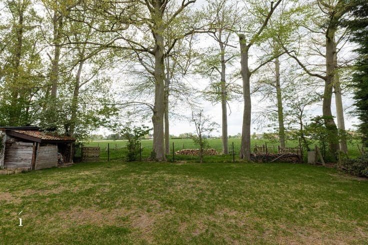 House in Lievegem