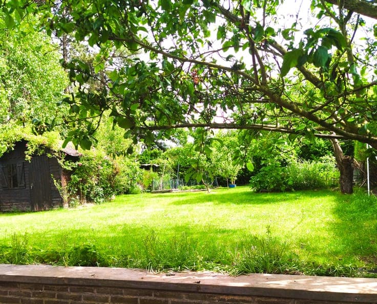 Charming 3-Bed Home with Lush Garden