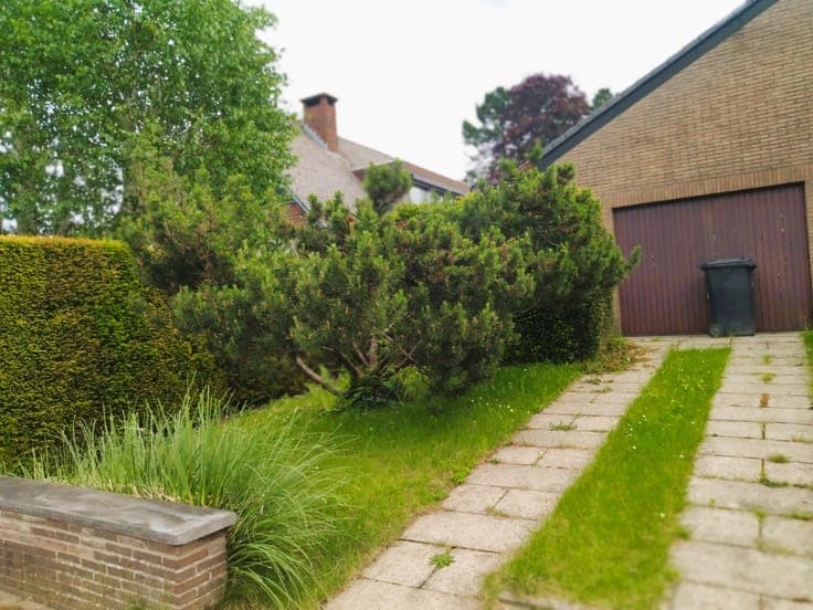 Charming 3-Bed Home with Lush Garden