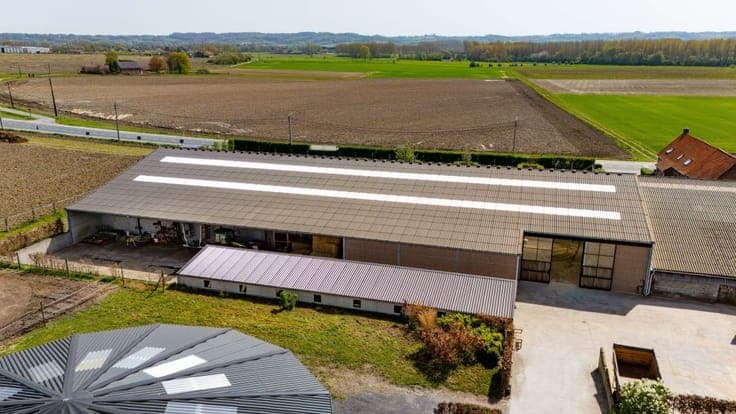 Prachtige paardenstoeterij te koop te Ronse