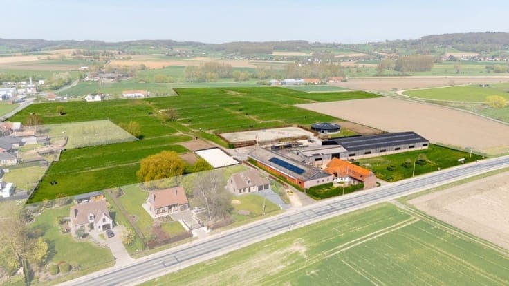 Prachtige paardenstoeterij te koop te Ronse