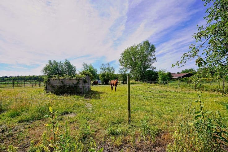 Hoeve met woning, 2 stallingen en veldschuur