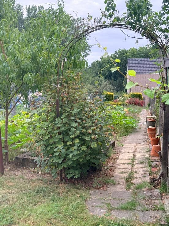 Family home with 4 bedrooms and deep garden in Geraardsberge