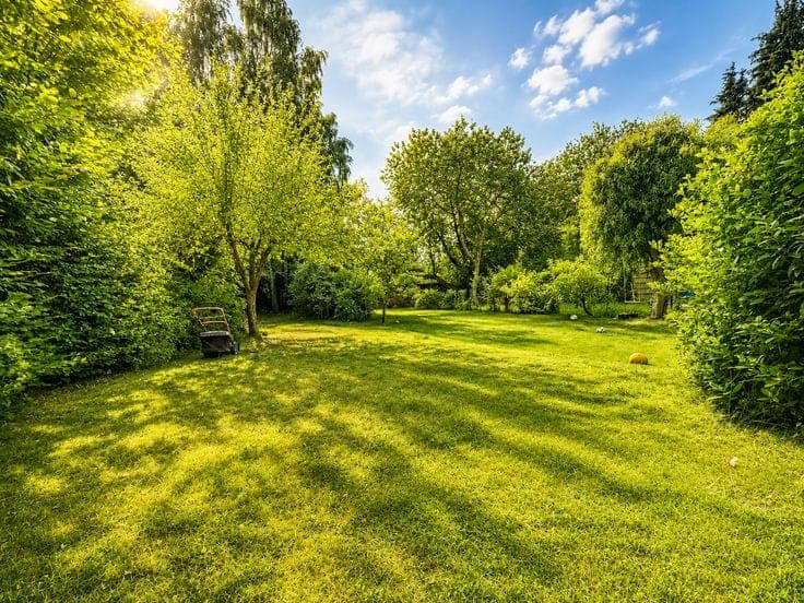 6 bedrooms House + garden For Sale