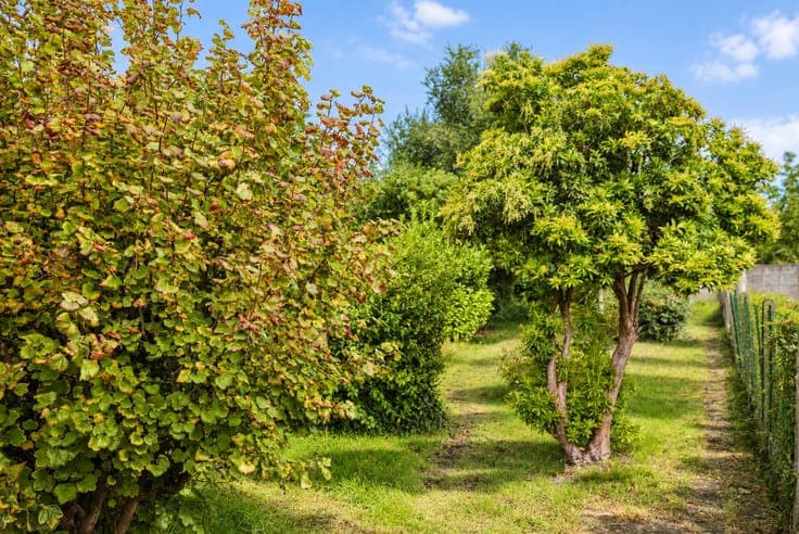 Pittoreske en charmante woning met diepe tuin in Kruishoutem