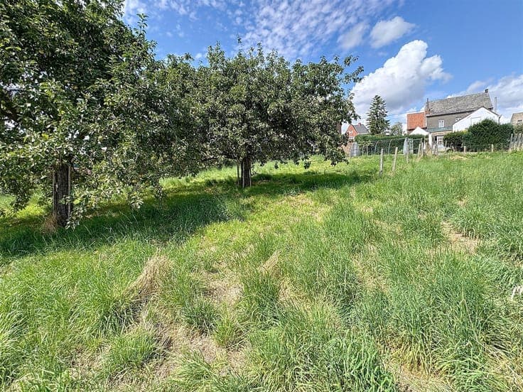 House to Renovate with 4 Bedrooms, Garage & Beautiful Garden