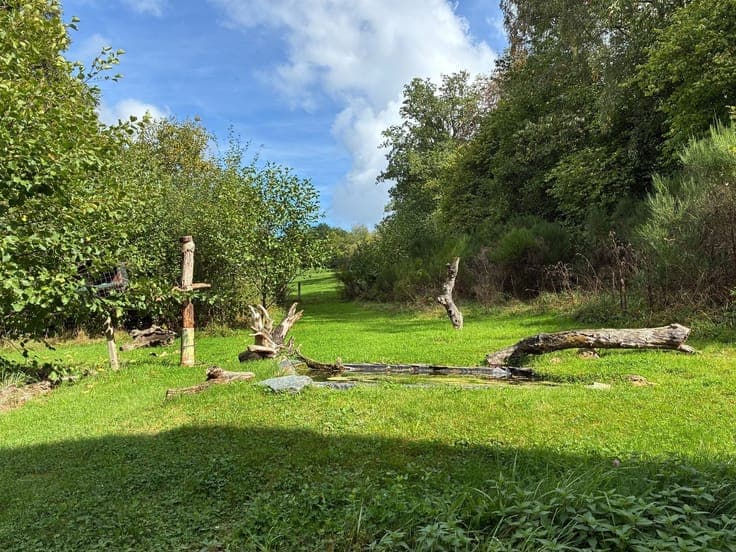 Ground