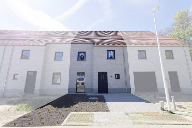 Thuiskomen in het groen te Lokeren.