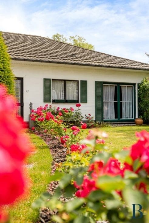 Single-storey home, 4 beds, large garden, Kontich