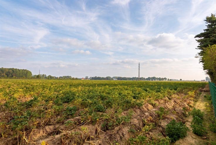 An open-concept home with a stunning view in Mullem!
