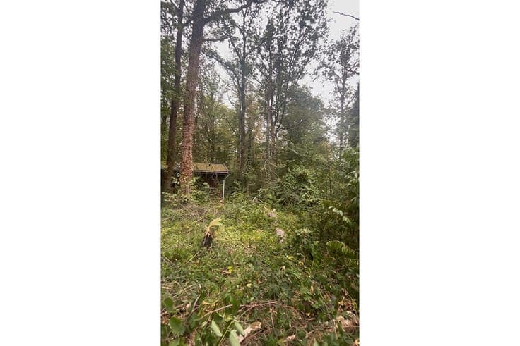 Stukje paradijs op het Domaine La Forêt