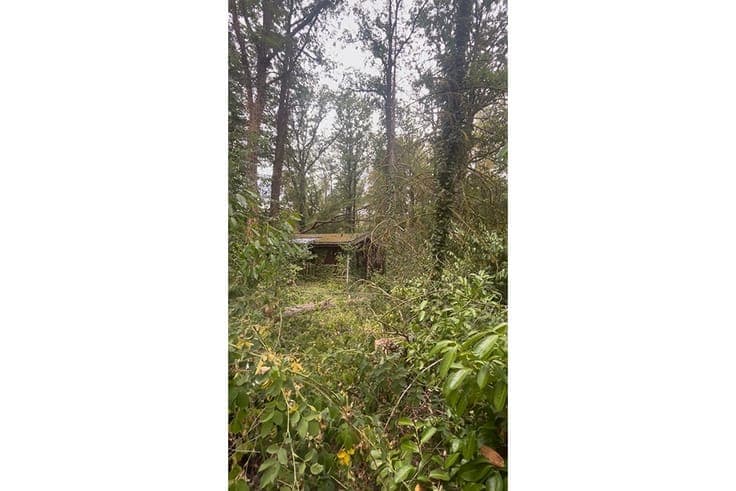 Stukje paradijs op het Domaine La Forêt