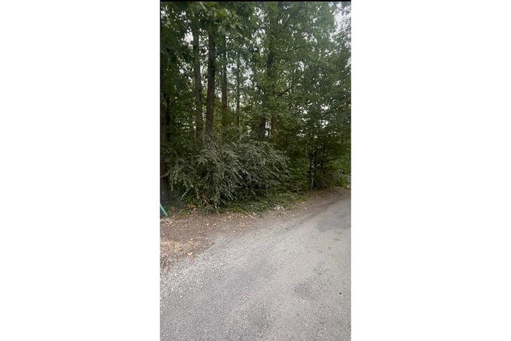 Stukje paradijs op het Domaine La Forêt