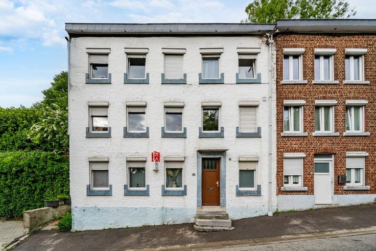 House in Dison