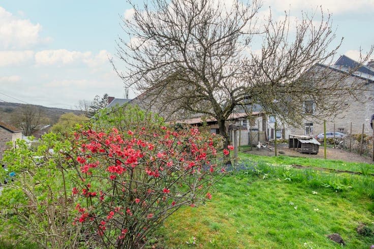 Old farmhouse in the heart of the village with outbuildings