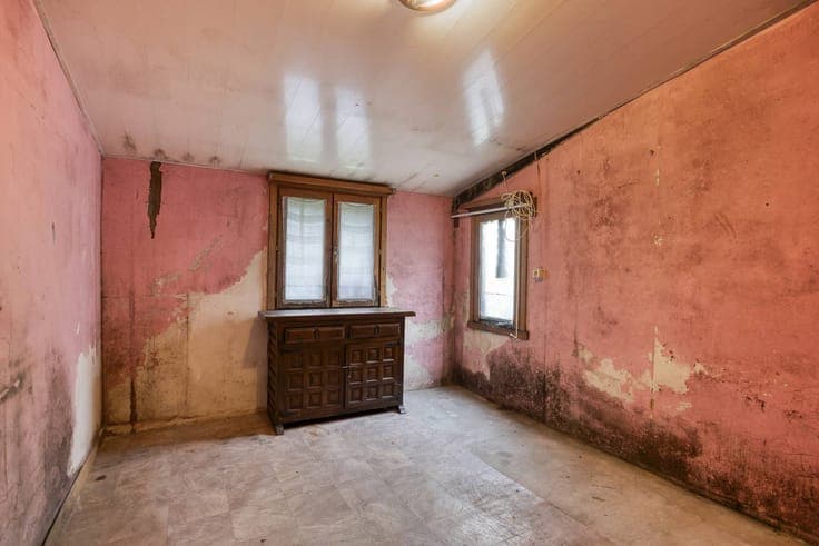 House to renovate for sale in Niel