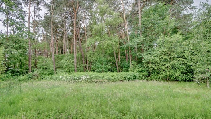 Villa van 390m² op 30 are