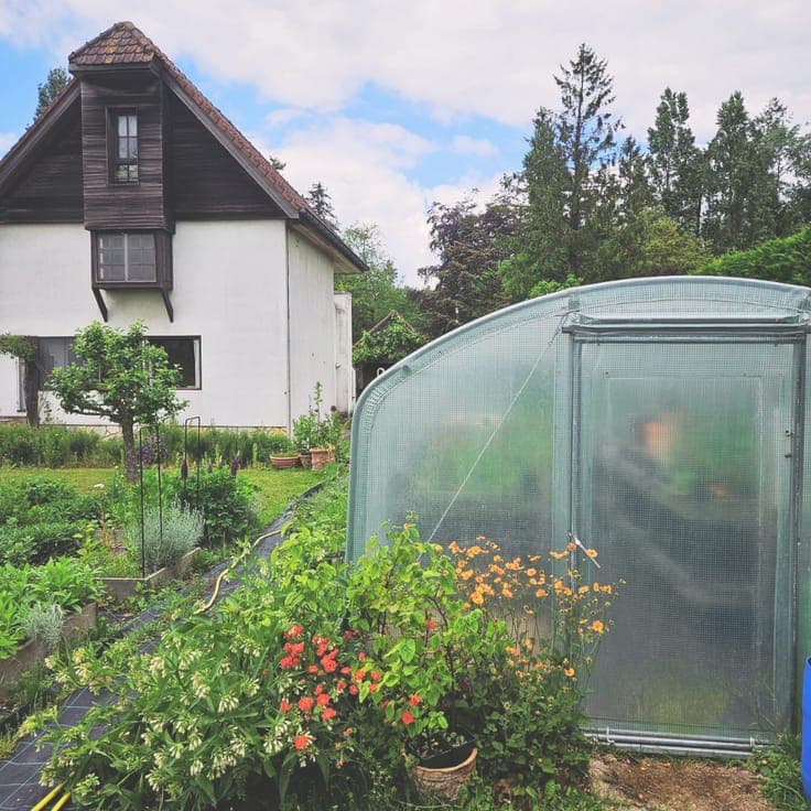 House in De Pinte