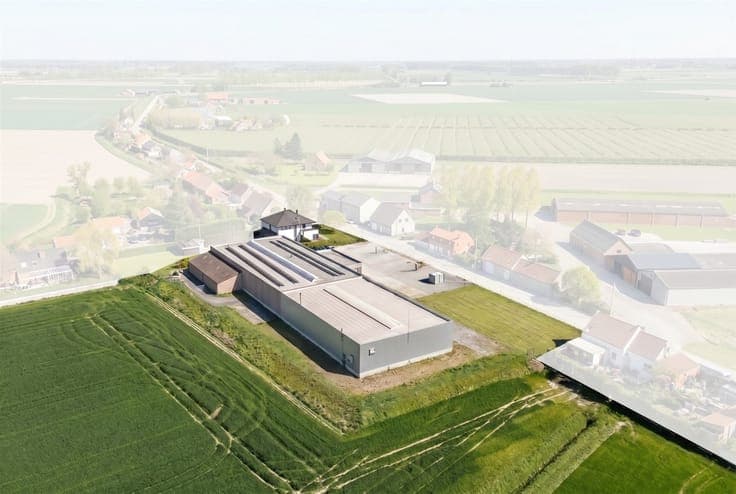 Gemengd gebruik