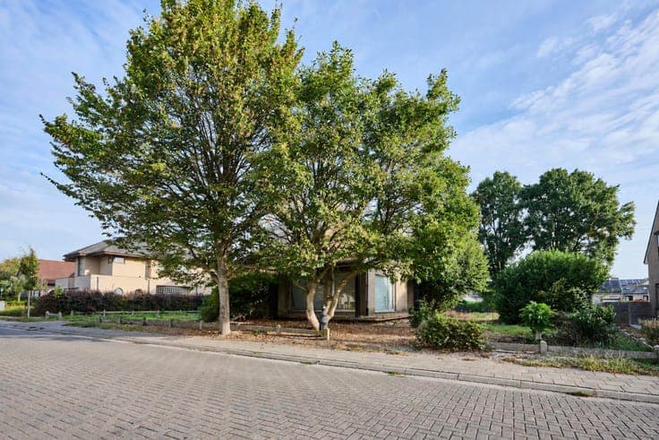 House in Liedekerke
