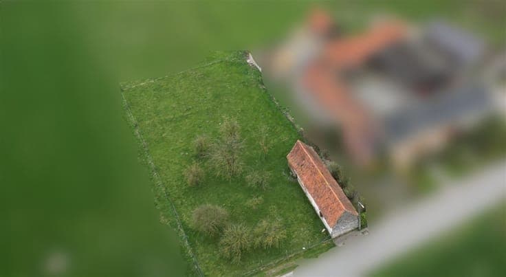 Plot