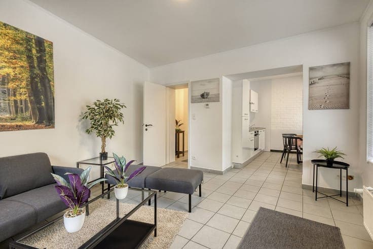 Ready to move in 3 bedroom city home in Ghent