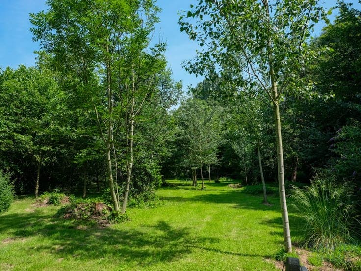 Uniek pand op 3.515 m² met prachtige tuin en volop privac...