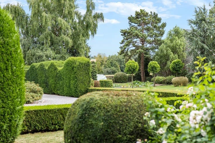 Exceptional property with multiple possibilities