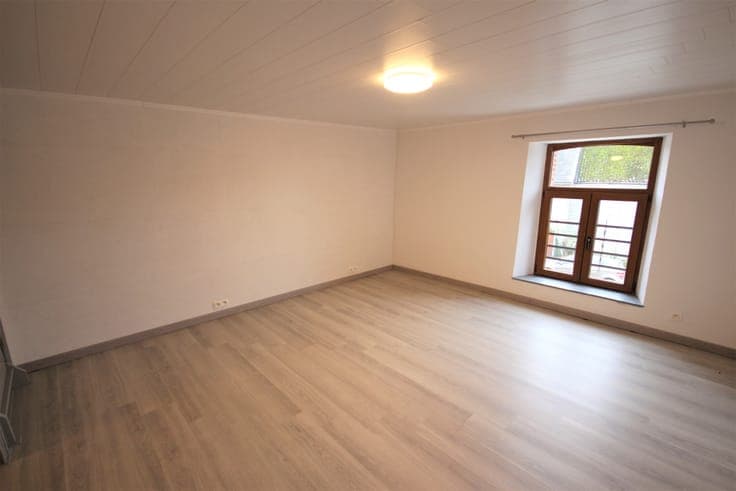 Set of two rental homes with outbuildings (workshop, barn, g