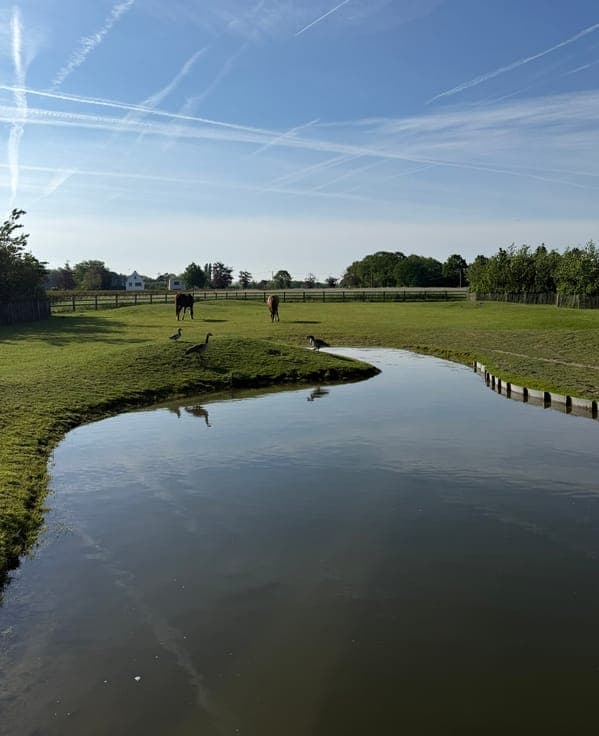 Renovation project for sale in Ruddervoorde