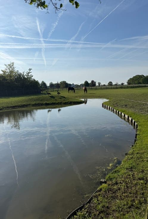 Renovation project for sale in Ruddervoorde