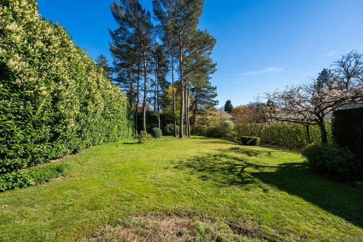 Beautiful villa 5BR/3BA + building plot
