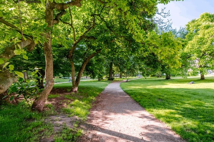 Superb Period Townhouse – Botanical Garden District !