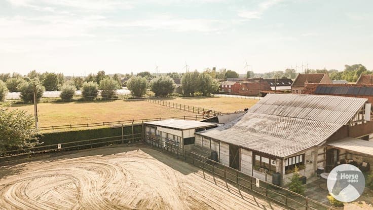 WACHTEBEKE - Instapklare paardeneigendom op ca. 1,5 hectare