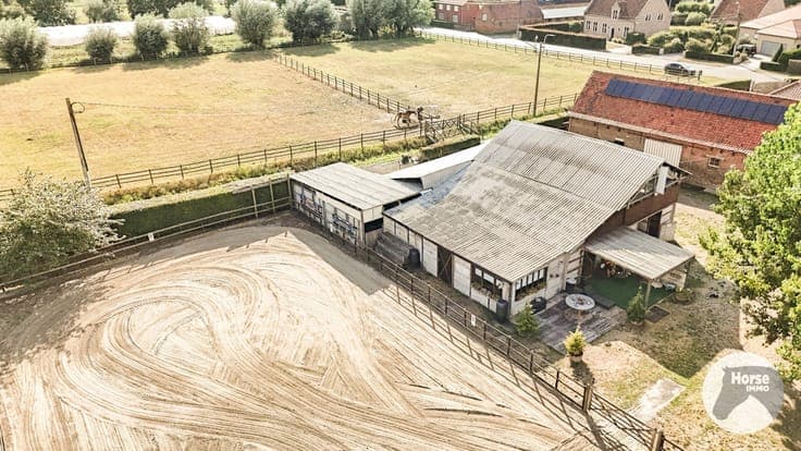 WACHTEBEKE - Instapklare paardeneigendom op ca. 1,5 hectare