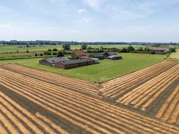 Farmhouse with 8,166 m² of land for sale