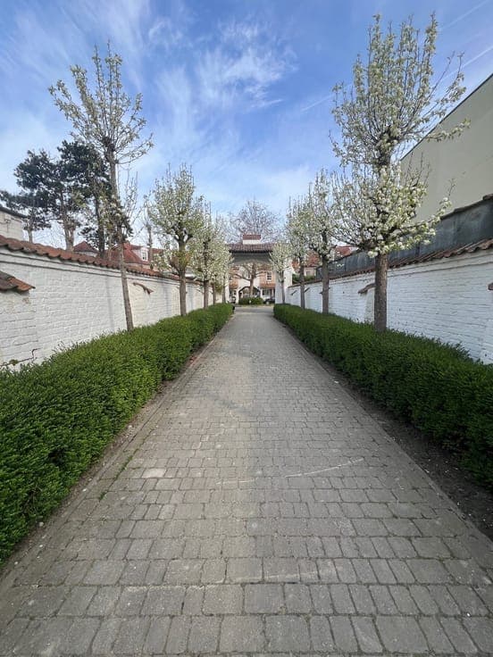 Schitterend gelegen renovatiepand of nieuwbouwproject in ...