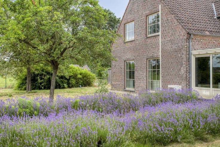 Convertible building with an open view in Sint-Martens-Latem