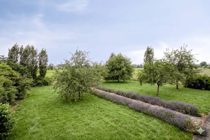 Convertible building with an open view in Sint-Martens-Latem