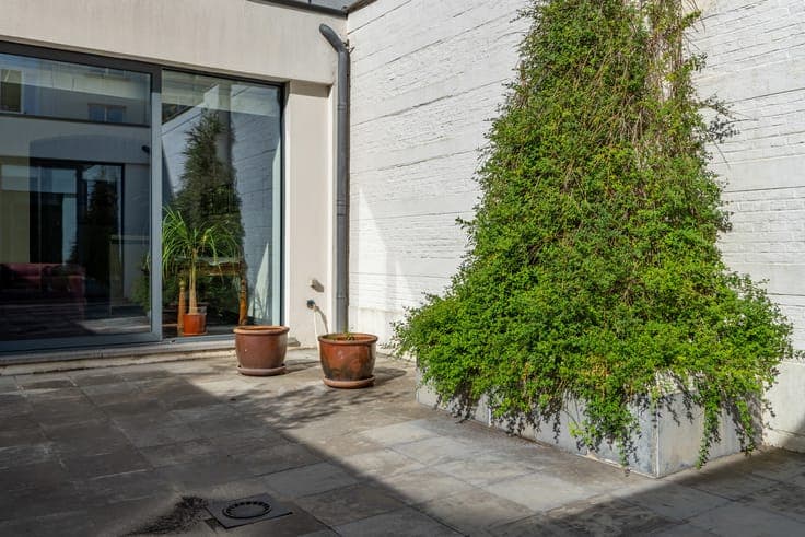 Exceptional rear house of 240 m² (3-4 bedrooms / 2-3 bath)