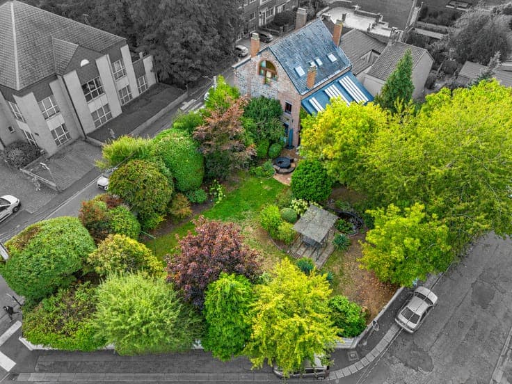 SUPERBE MAISON DE MAÎTRE - JARDIN ARBORÉ&PROFESSION LIBÉRALE