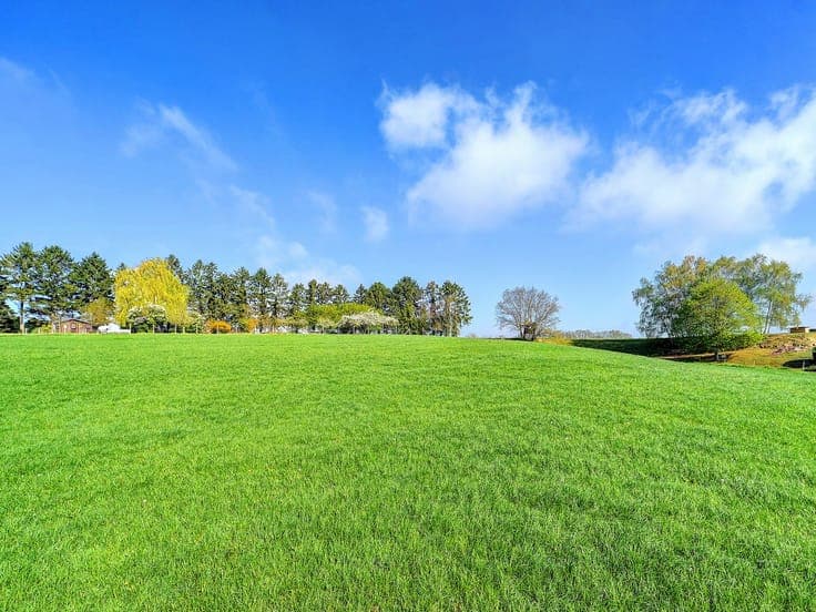 Spacious semi-detached home with sunny garden