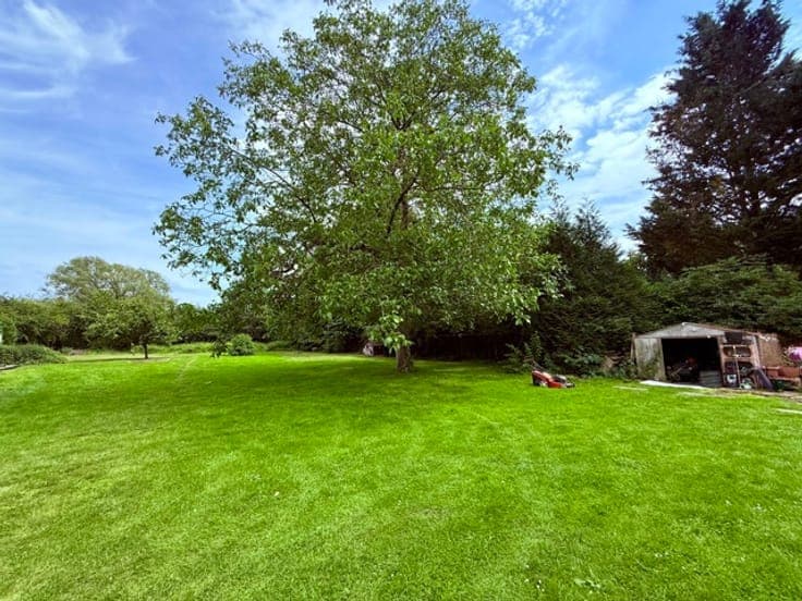 House with a beautiful wooded plot